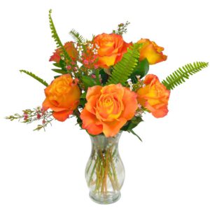 Half Dozen Roses