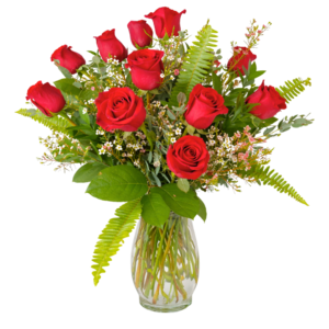 Dozen Roses