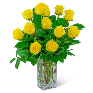 Yellow Roses (12)