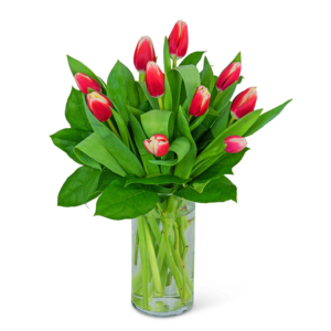 Tigress Tulips