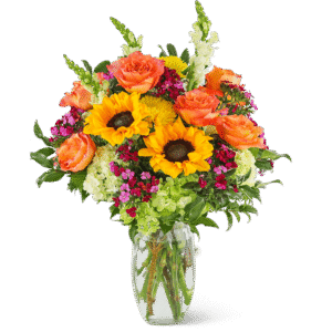 Stunning Seasonal Blooms