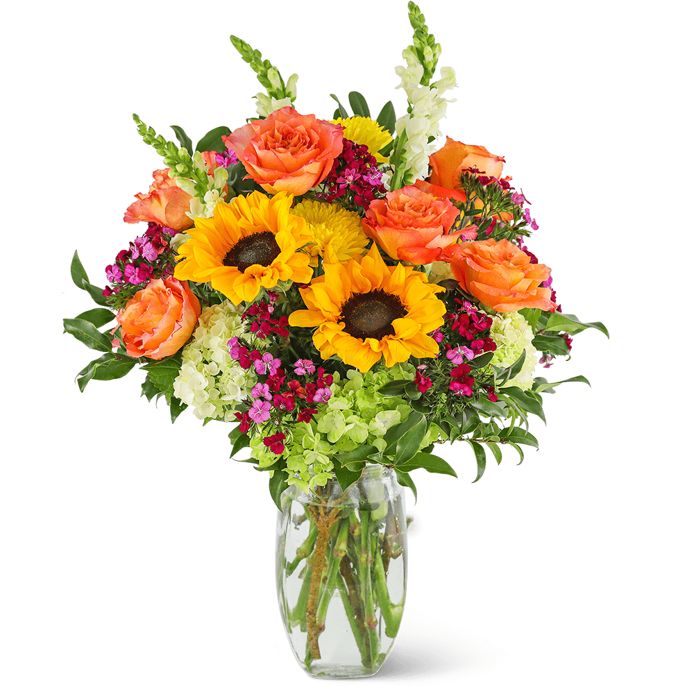 Stunning Seasonal Blooms