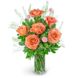Half Dozen Free Spirit Rose Symphony