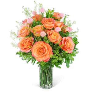 One Dozen Free Spirit Rose Symphony