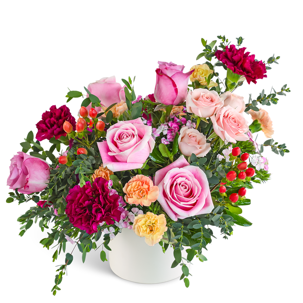 Wildberry Bright