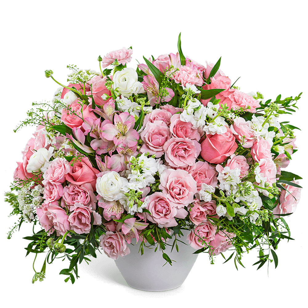 Provence Rose Garden