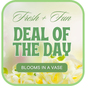 Florist's Deal of the Day