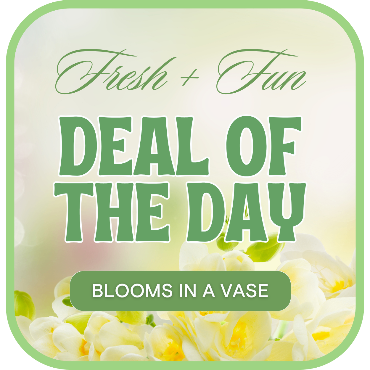 Florist's Deal of the Day