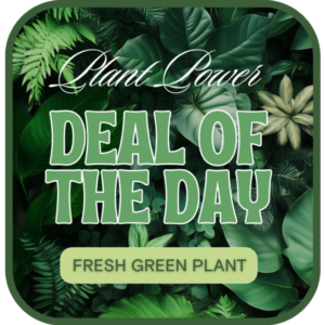 Green Plant Deal of the Day