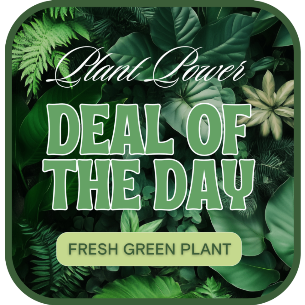 Green Plant Deal of the Day