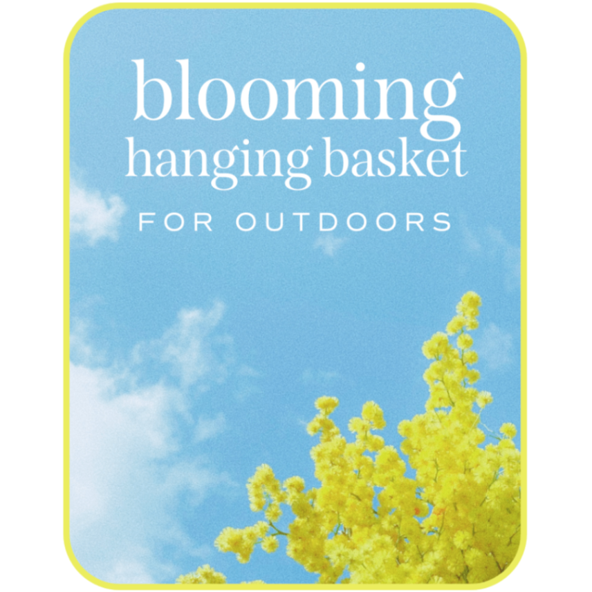 Outdoor Blooming Hanging Basket
