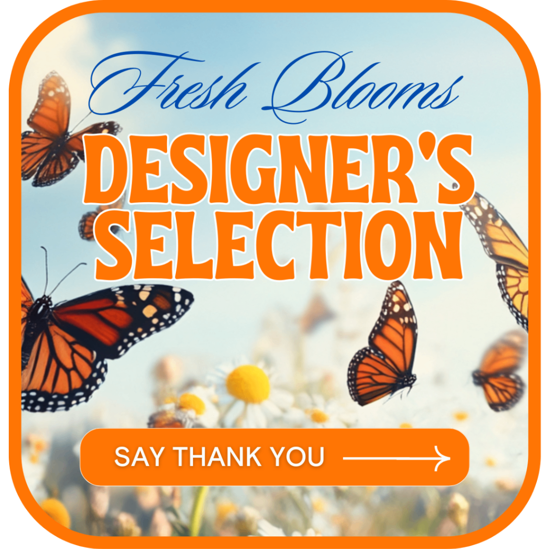 Designer's Selection to Say Thank You