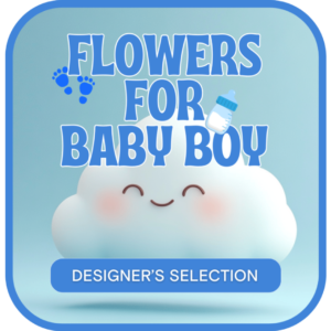 Designer's Selection Baby Boy