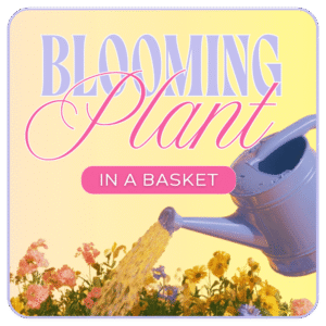 Florist's Choice of Blooming Plant