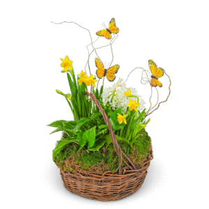 Spring Plants with Butterflies