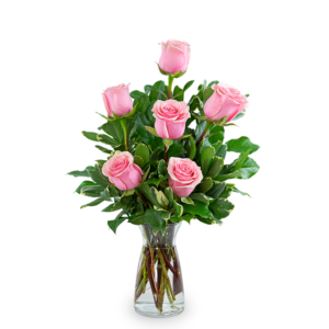 Pink Roses (6)