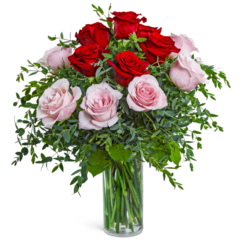 One Dozen Perfect Pink and Red Roses