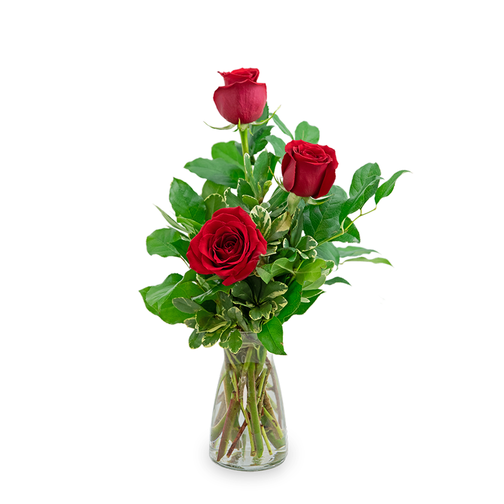Red Roses (3)