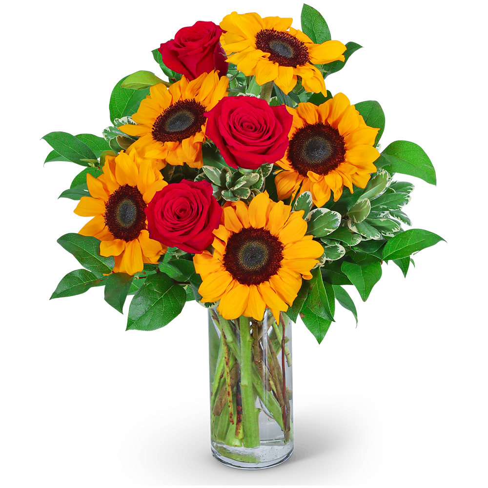 Rosy Sunflowers