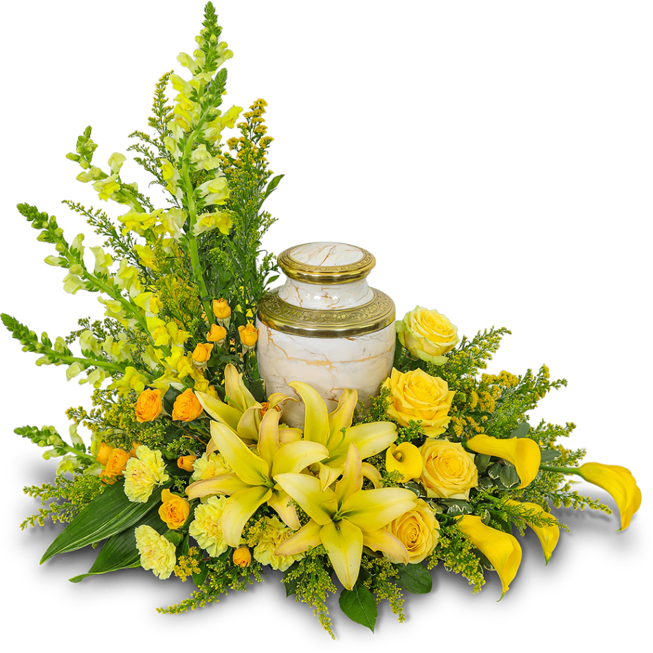 Radiant Remembrance Cremation Tribute