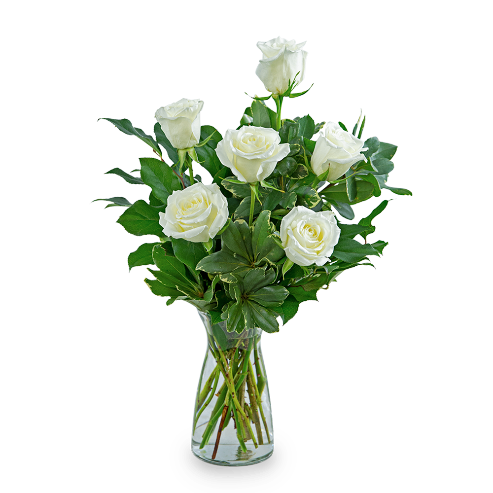 White Roses (6)